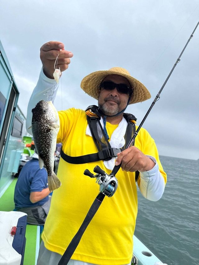 フグ(ショウサイフグ)