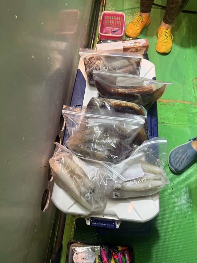 アカイカ(ケンサキイカ)