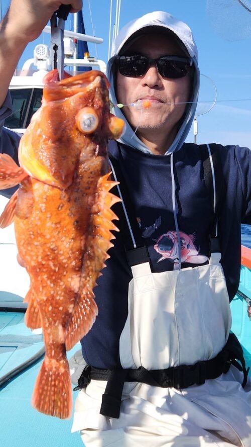 カンコ(ウッカリカサゴ)