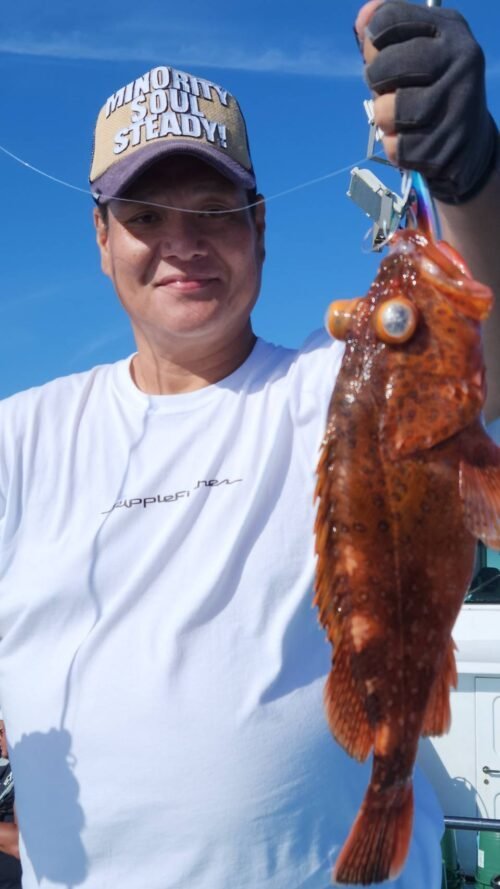 カンコ(ウッカリカサゴ)