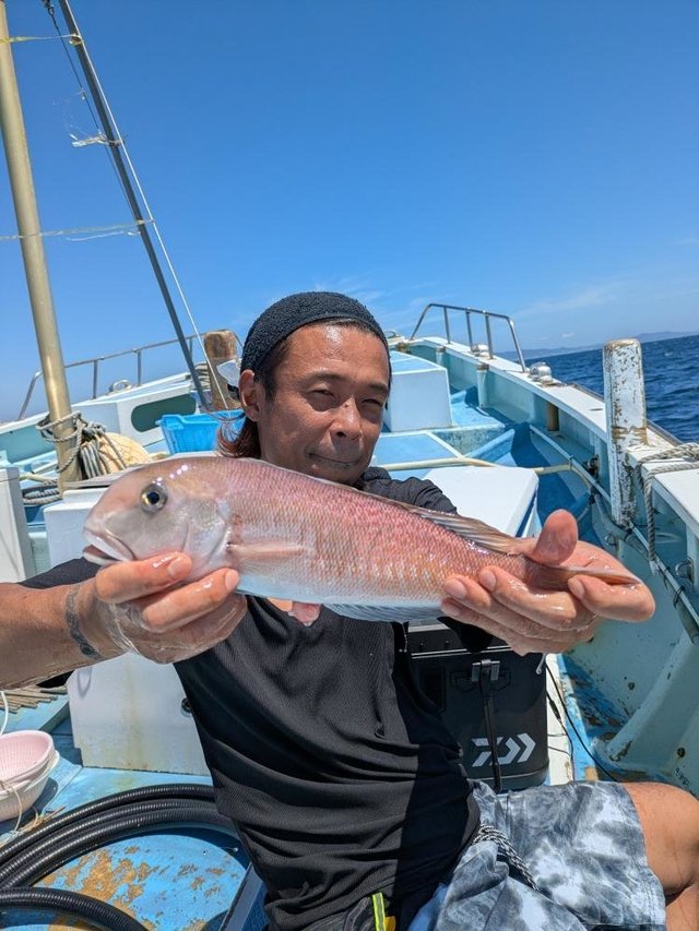 アマダイ(アカアマダイ)