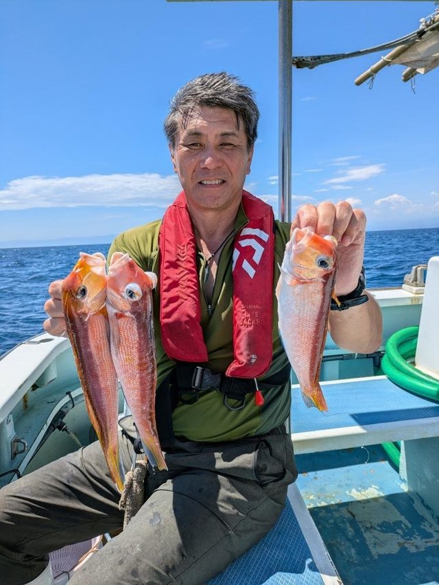 アマダイ(アカアマダイ)