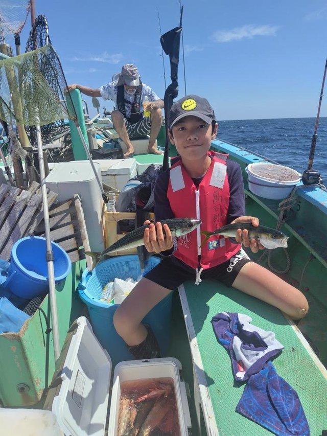 ワカシ(ブリ)・サバ(ゴマサバ)