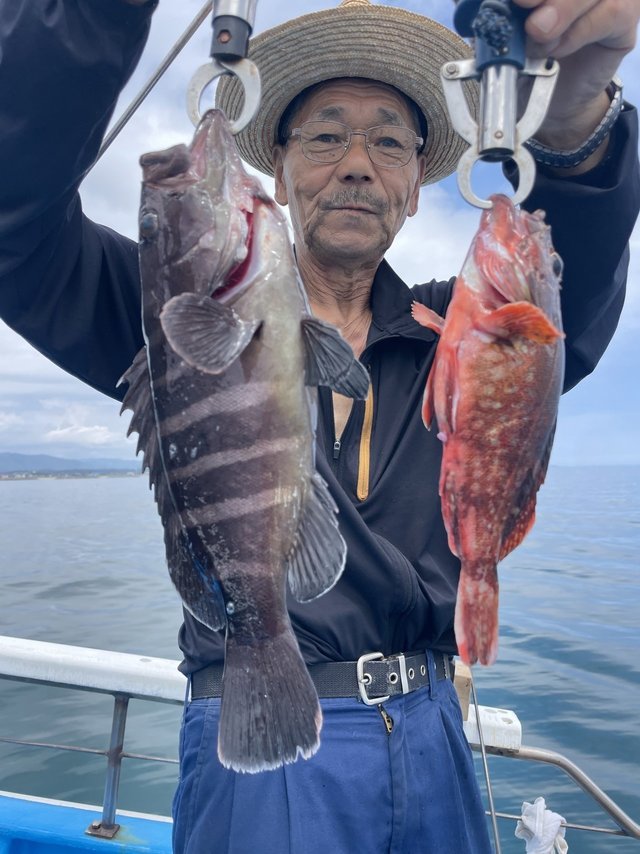 マハタ・カサゴ