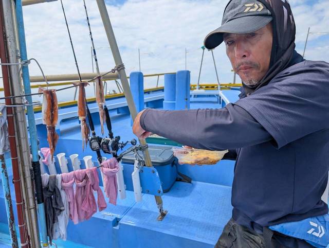 スルメ(スルメイカ)