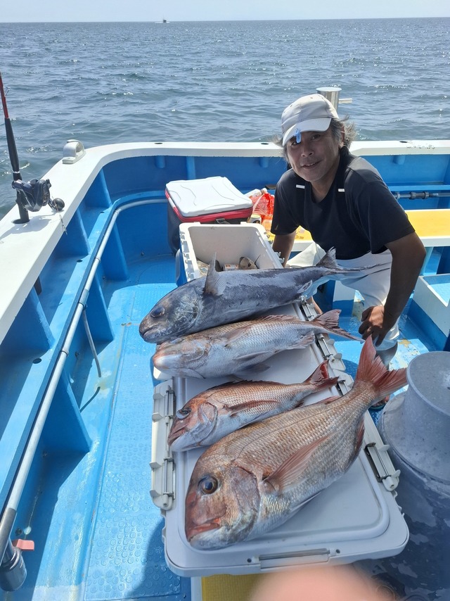 マダイ・メダイ