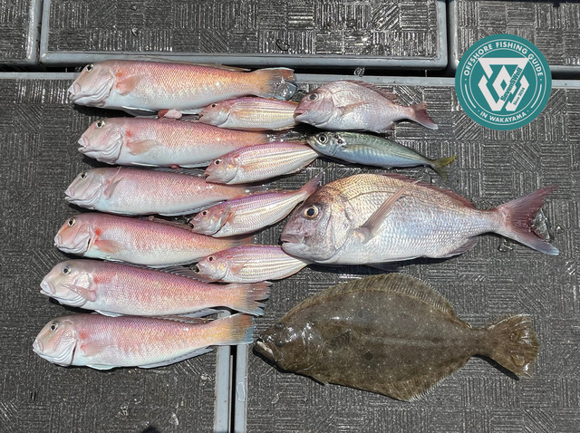 タイ(マダイ)・シロアマダイ・ヒラメ