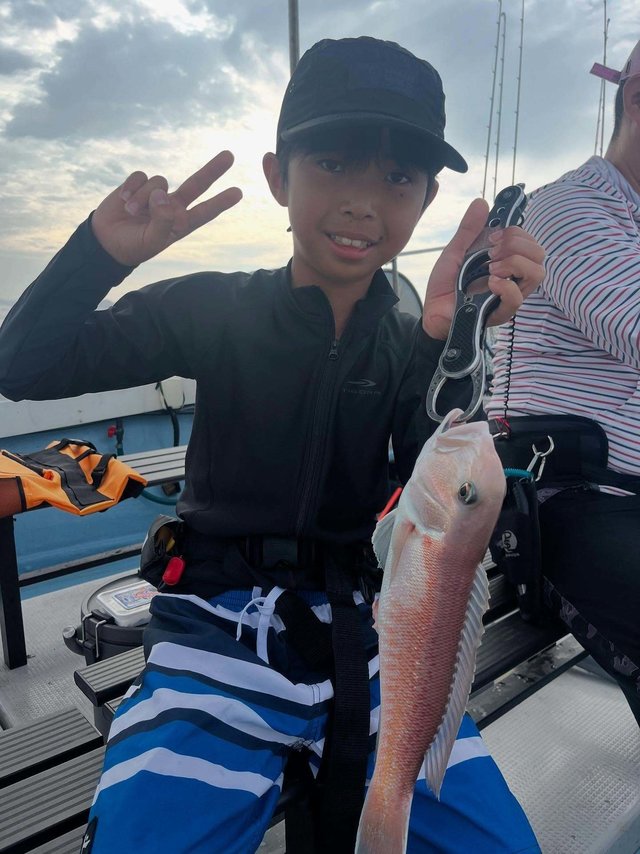 アマダイ(アカアマダイ)