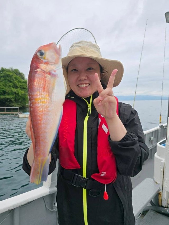 アマダイ(アカアマダイ)