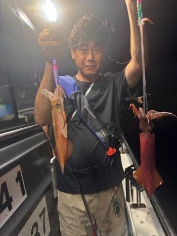 マイカ(ケンサキイカ)