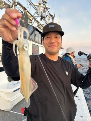 マイカ(ケンサキイカ)