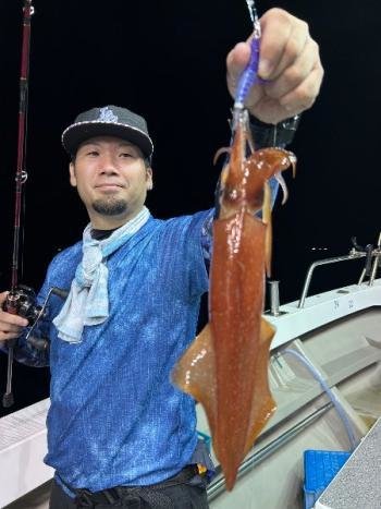 マイカ(ケンサキイカ)