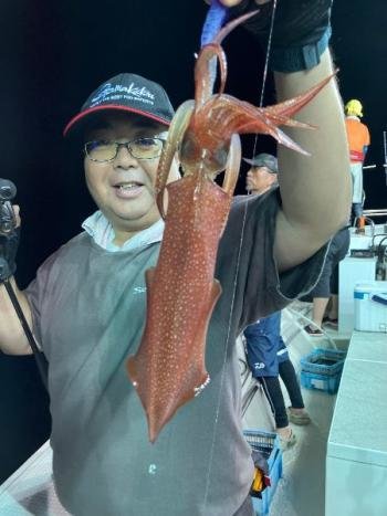 マイカ(ケンサキイカ)