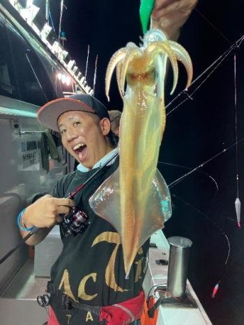 マイカ(ケンサキイカ)