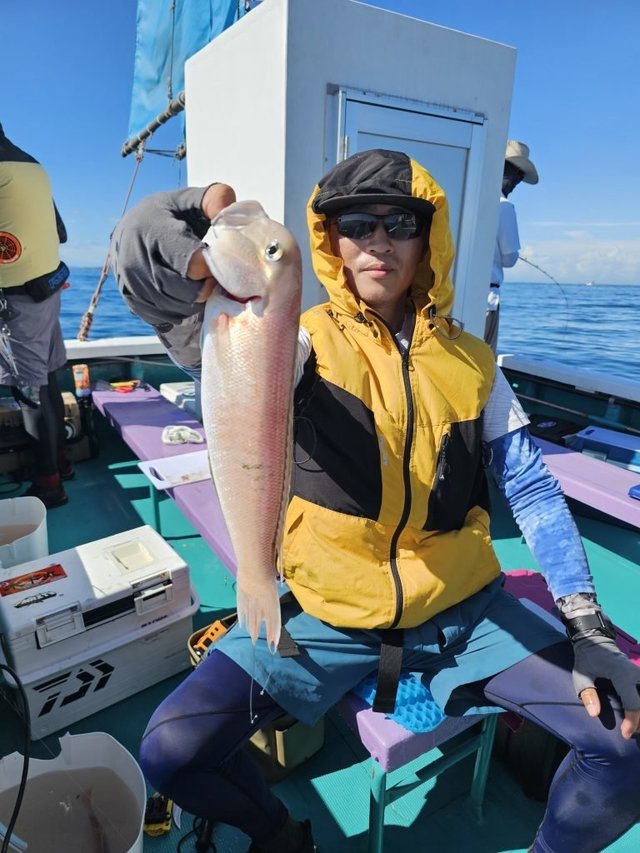 アマダイ(アカアマダイ)