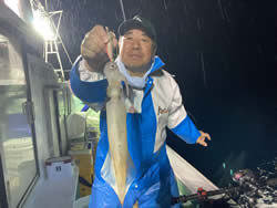 アカイカ(ケンサキイカ)