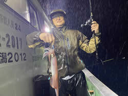 アカイカ(ケンサキイカ)