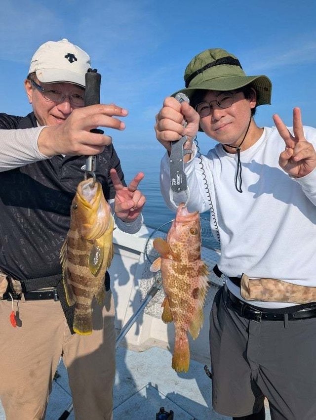 アオハタ・キジハタ