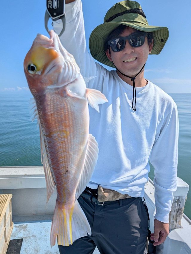 アマダイ(アカアマダイ)