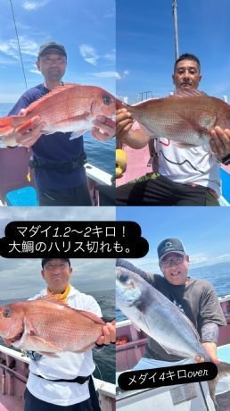 マダイ・メダイ