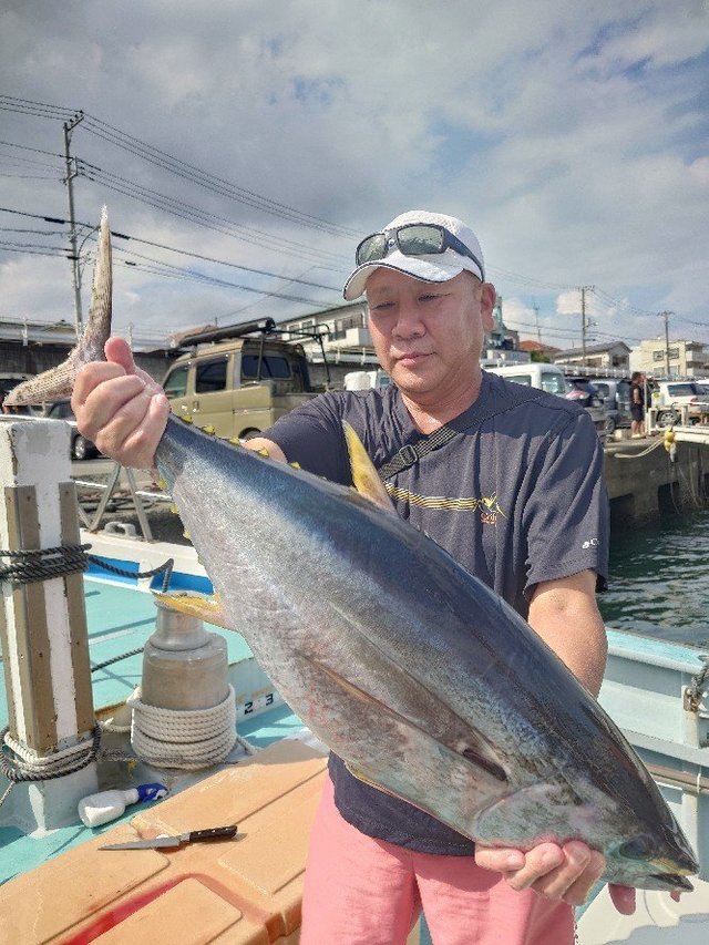 キメジ(キハダ)