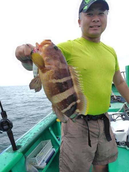 ハタ(キジハタ)