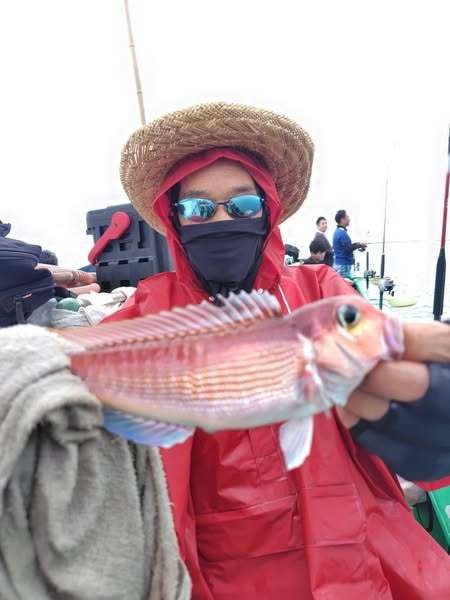 アマダイ(アカアマダイ)