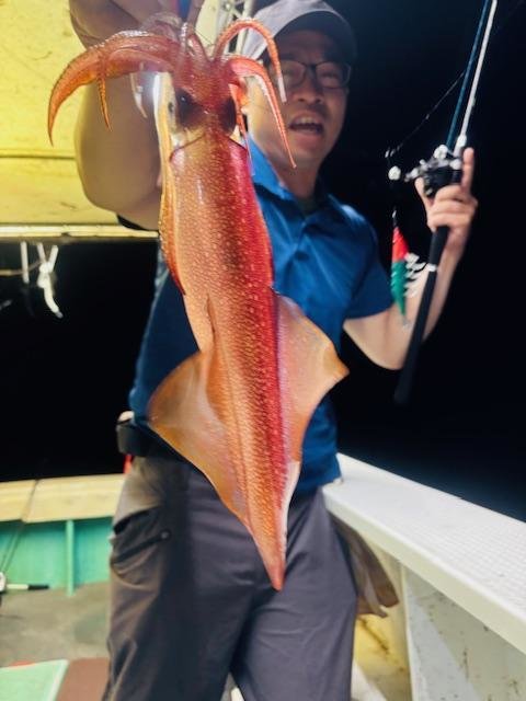 イカ(ケンサキイカ)