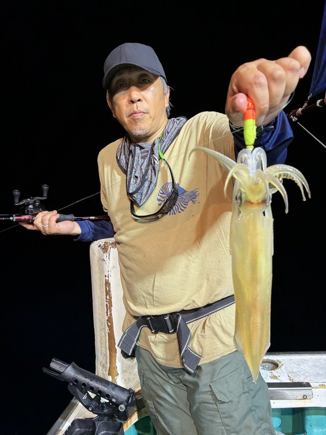 アカイカ(ケンサキイカ)