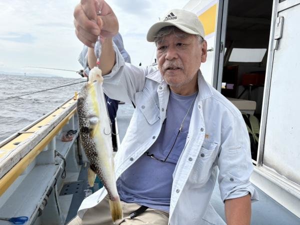 ショウサイフグ