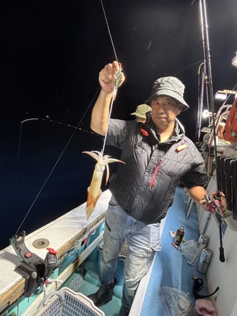 マイカ(ケンサキイカ)