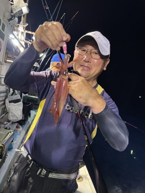 マイカ(ケンサキイカ)