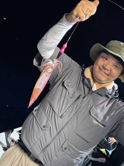 マイカ(ケンサキイカ)