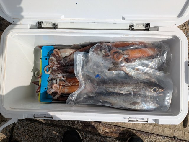 クロムツ・スルメイカ