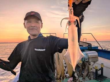 マイカ(ケンサキイカ)