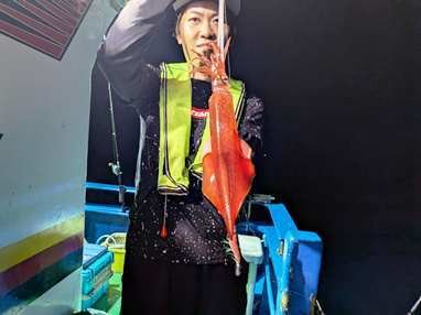 マイカ(ケンサキイカ)