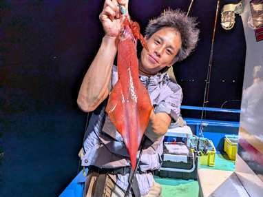 マイカ(ケンサキイカ)