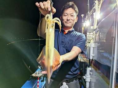 マイカ(ケンサキイカ)