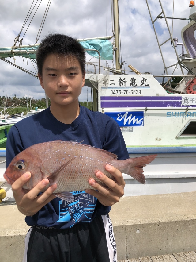 ハナダイ(チダイ)