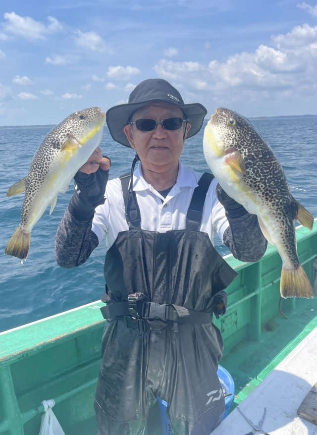 ショウサイフグ