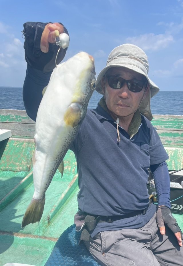 ショウサイフグ