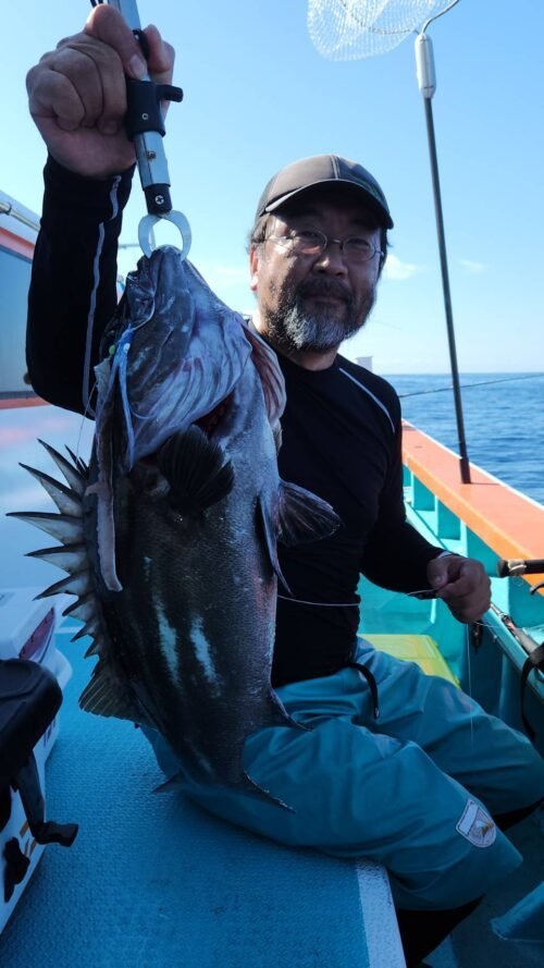 イシナギ(オオクチイシナギ)