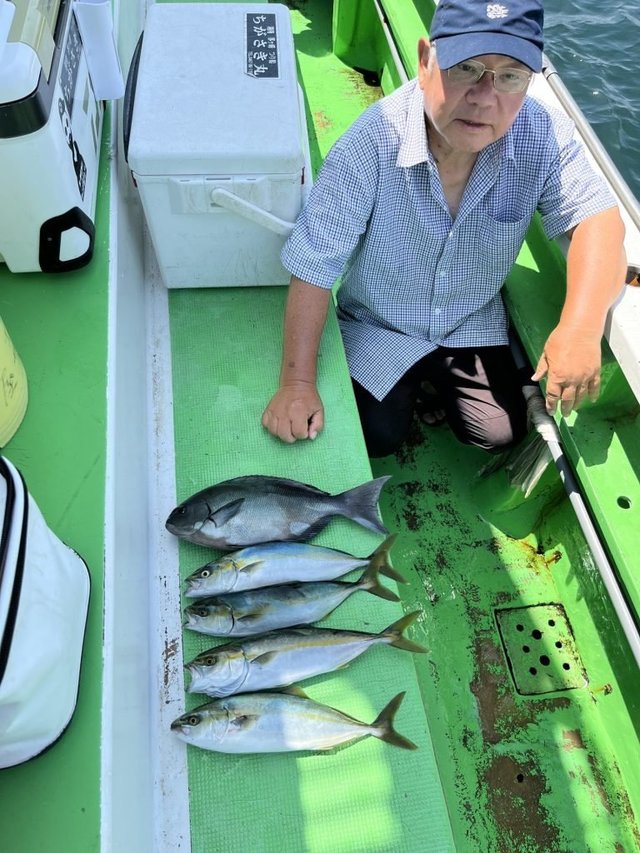 メジナ・イナダ(ブリ)