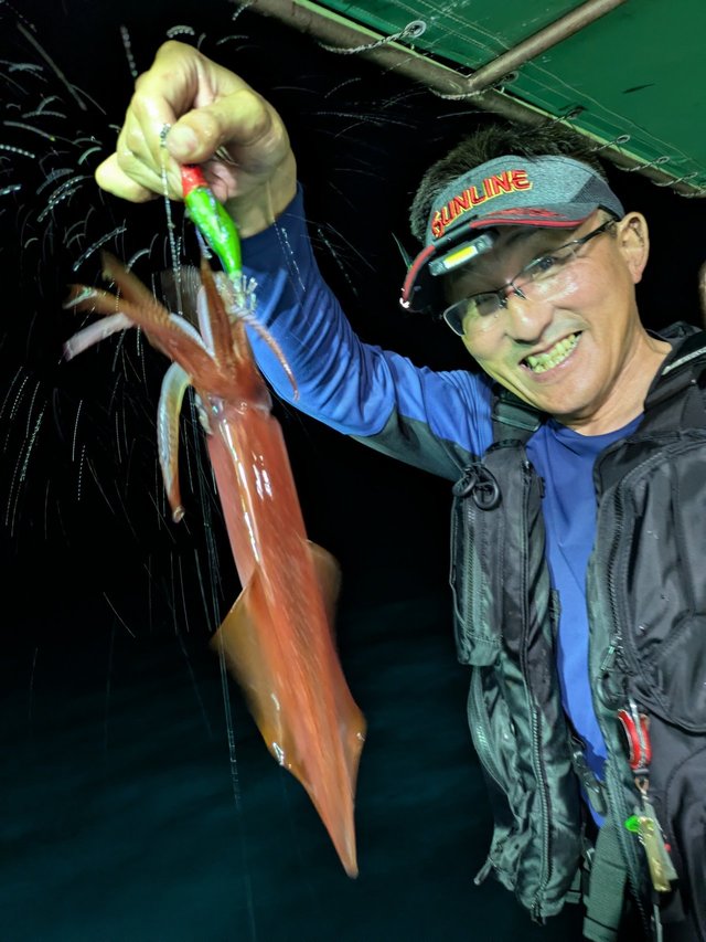 イカ(ケンサキイカ)