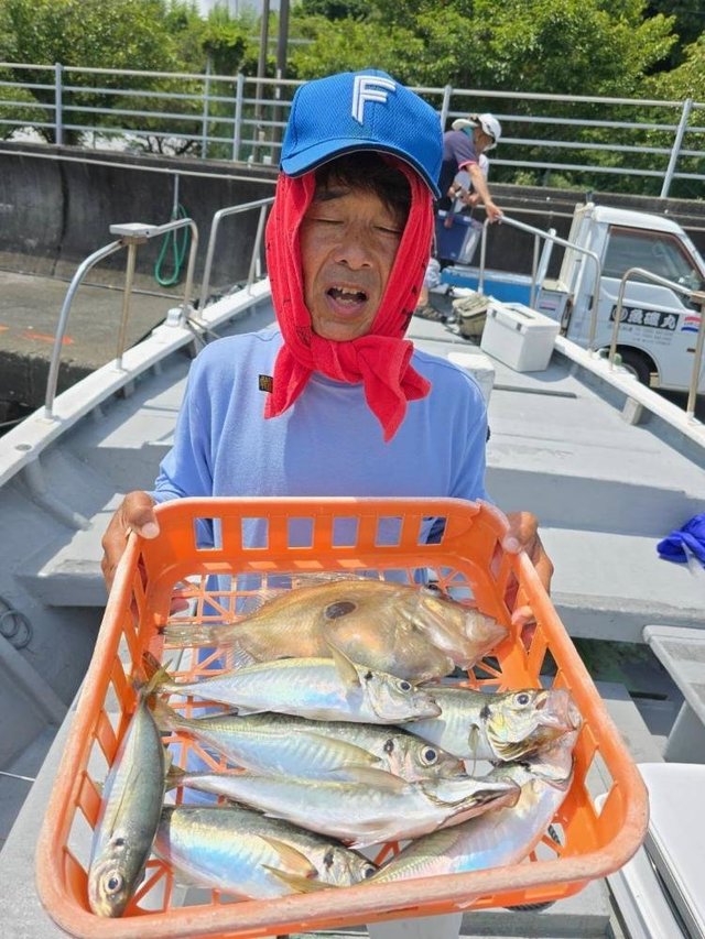 アジ(マアジ)・アマダイ(アカアマダイ)・マトウダイ