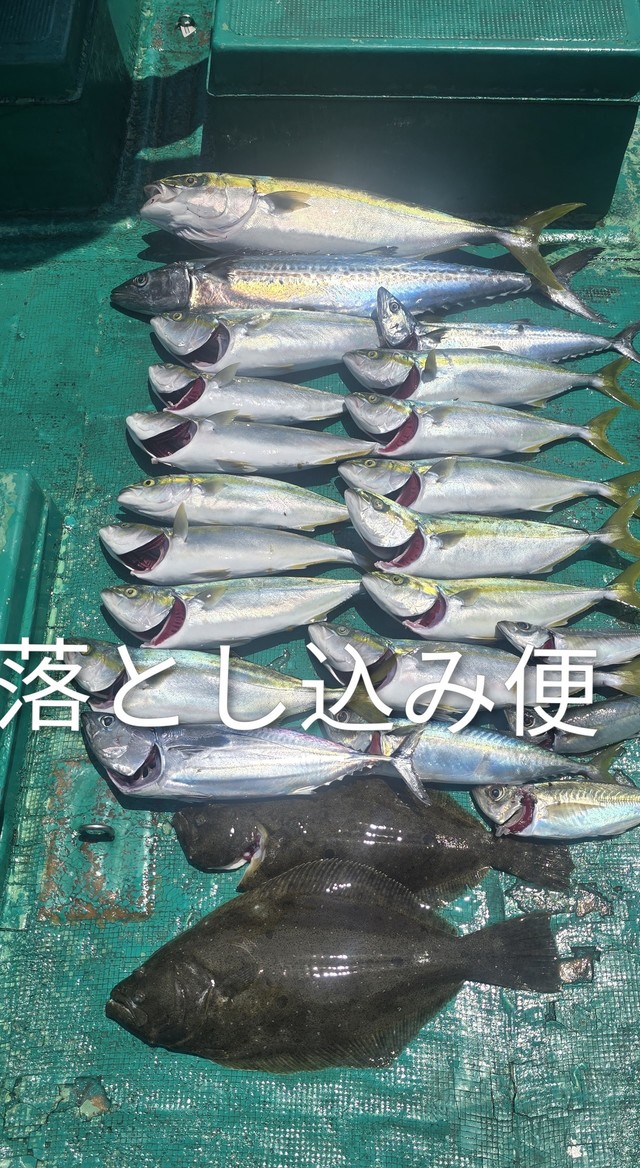 カツオ・サワラ・ヒラメ