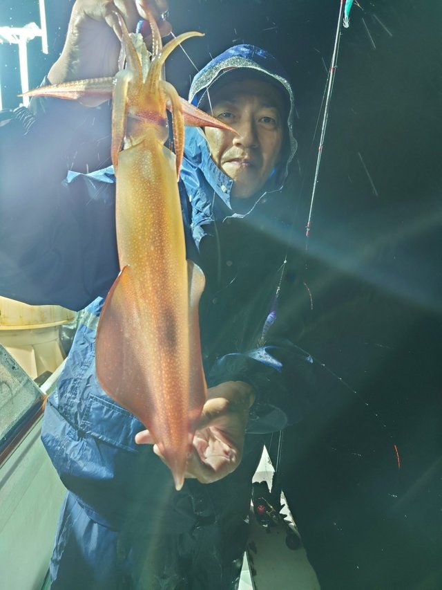 シロイカ(ケンサキイカ)