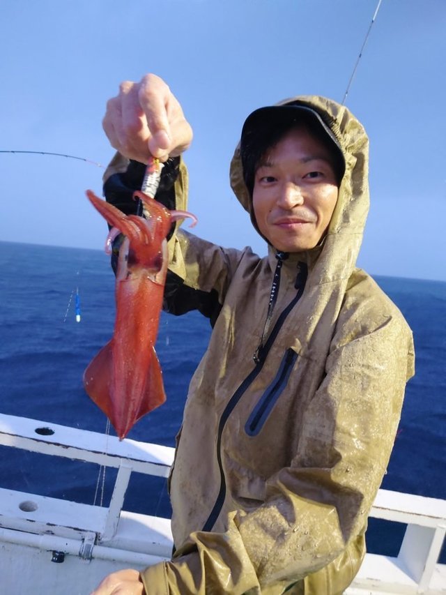 シロイカ(ケンサキイカ)