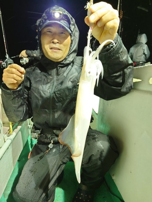 シロイカ(ケンサキイカ)