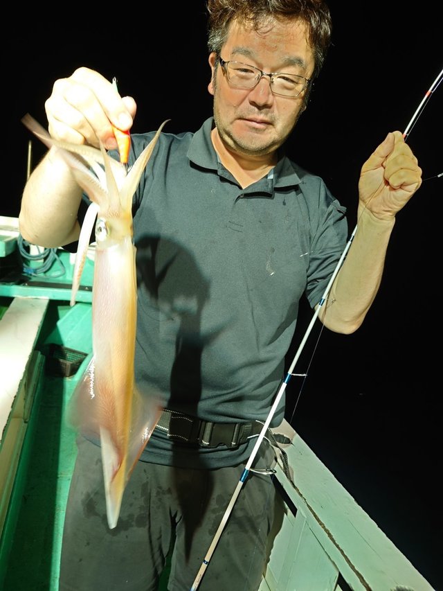 シロイカ(ケンサキイカ)